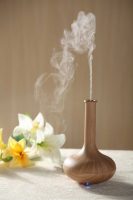 Diffuser, Holiday Essential Oils I will Never Live Without | Kolya Naturals, Canada