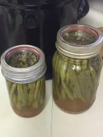 Mason Jar Fermentation