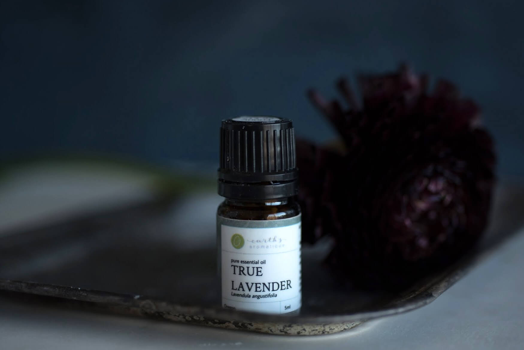 True Lavender Essential Oil