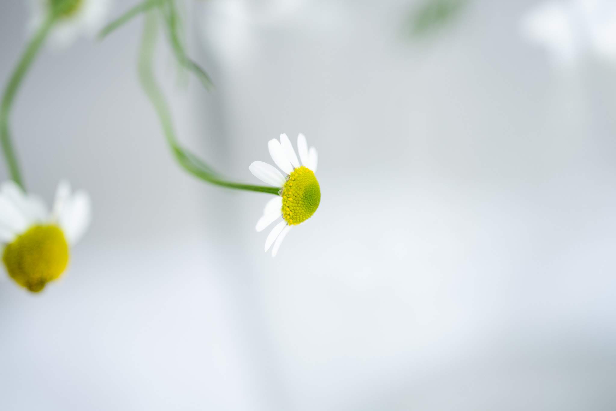 How to be in the Sun, Naturally | Kolya Naturals, Canada